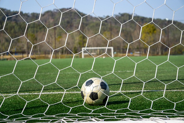 隐私保护或 隐私保护或