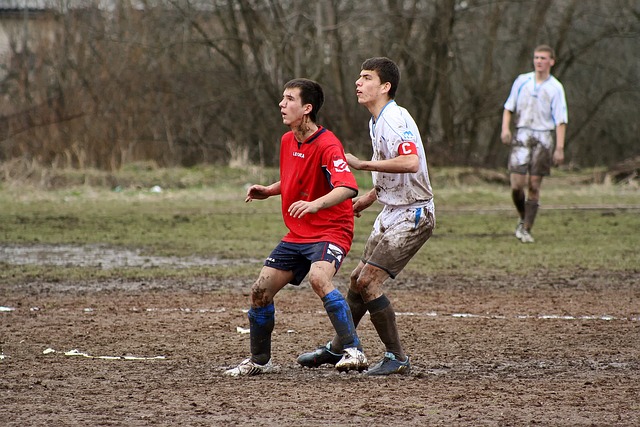 耶夫决定采 耶夫决定采