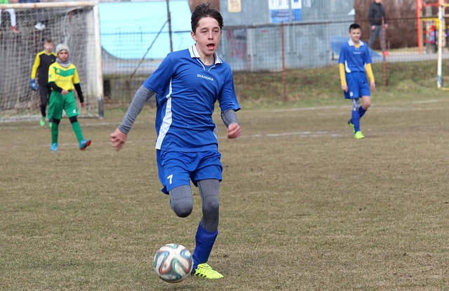 的球迷们来 的球迷们来