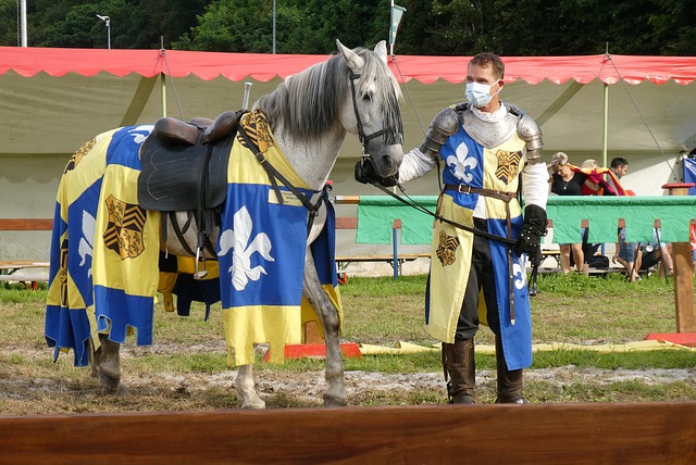 队内前茅 队内前茅